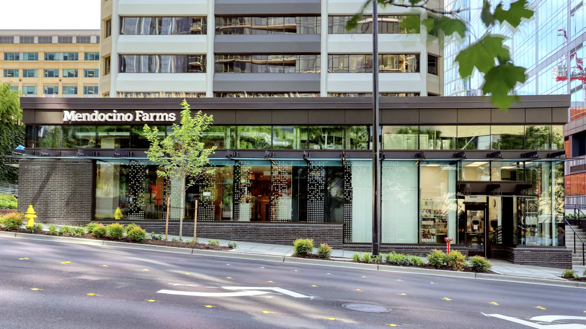 Bellevue, WA